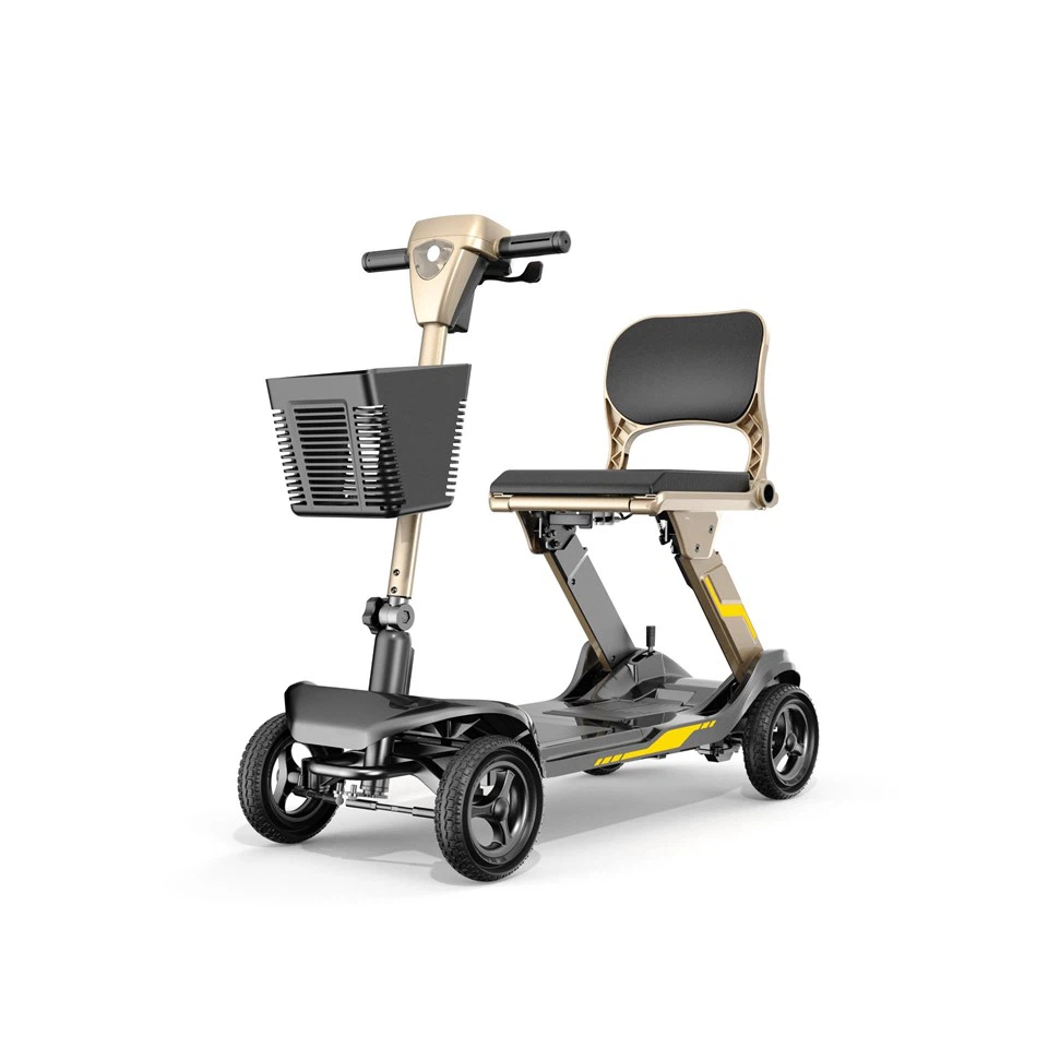 Leichter faltbarer Roller